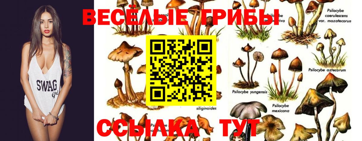 Галлюциногенные грибы GOLDEN TEACHER Копейск